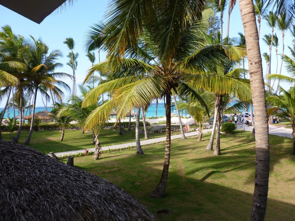 Blick von unserem Balkon Grand Palladium Select Bávaro Resort & Spa