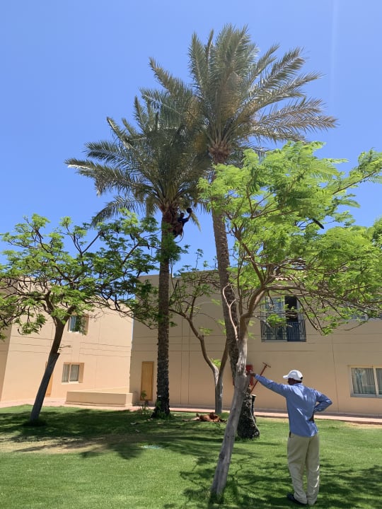 Gartenanlage Cleopatra Luxury Resort Makadi Bay