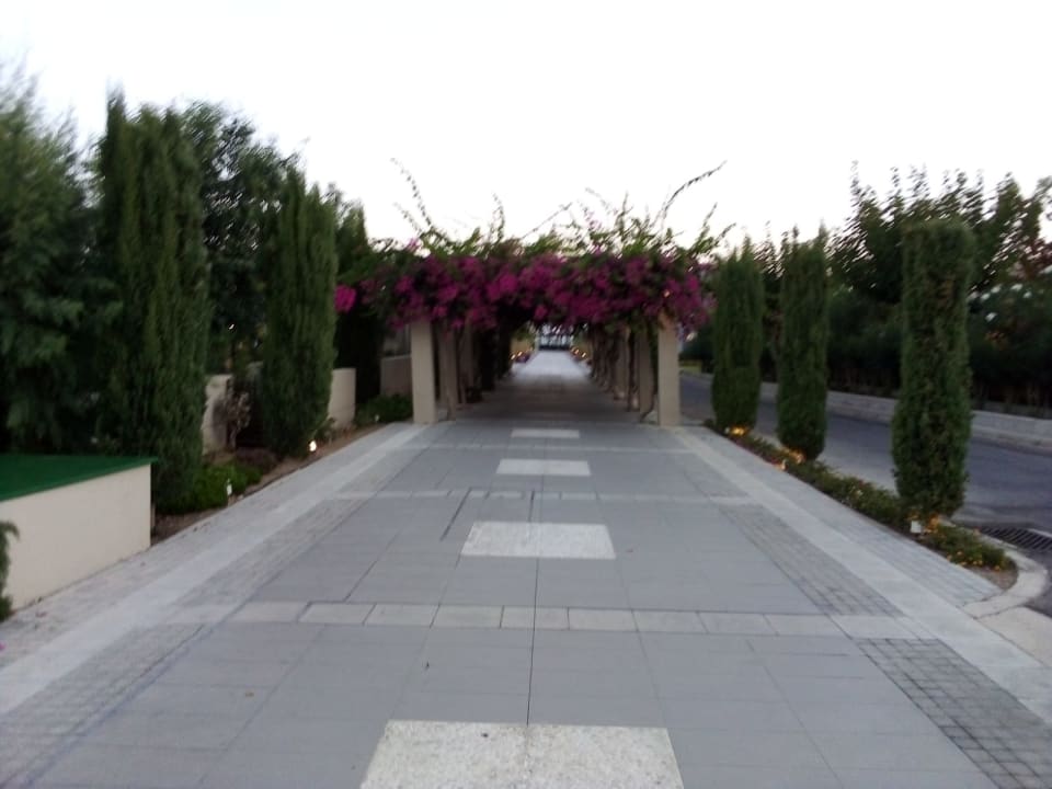 Sonstiges Astir Odysseus Kos Resort & Spa