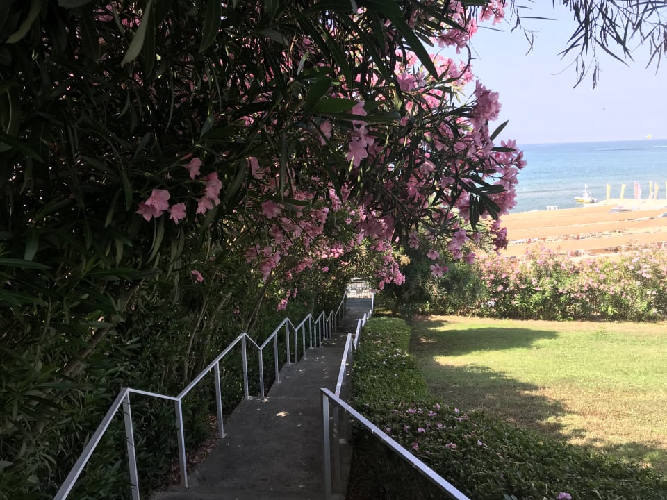 Strand Can Garden Resort
