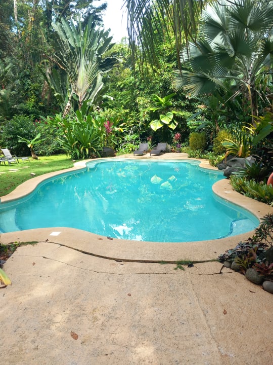 Pool Shawandha Lodge