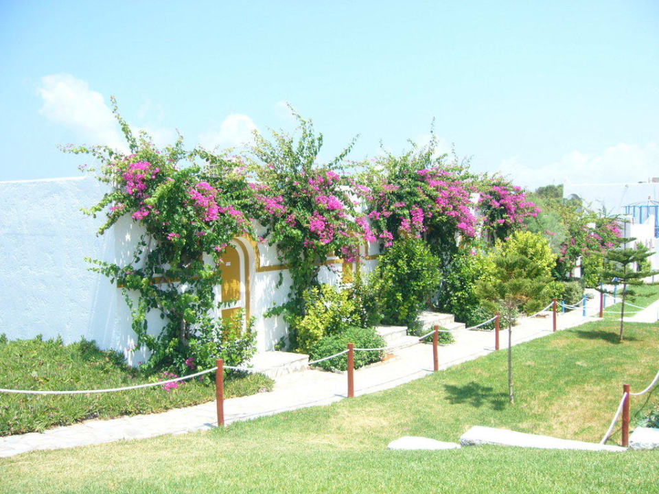 Bungalows Mitsis Rinela