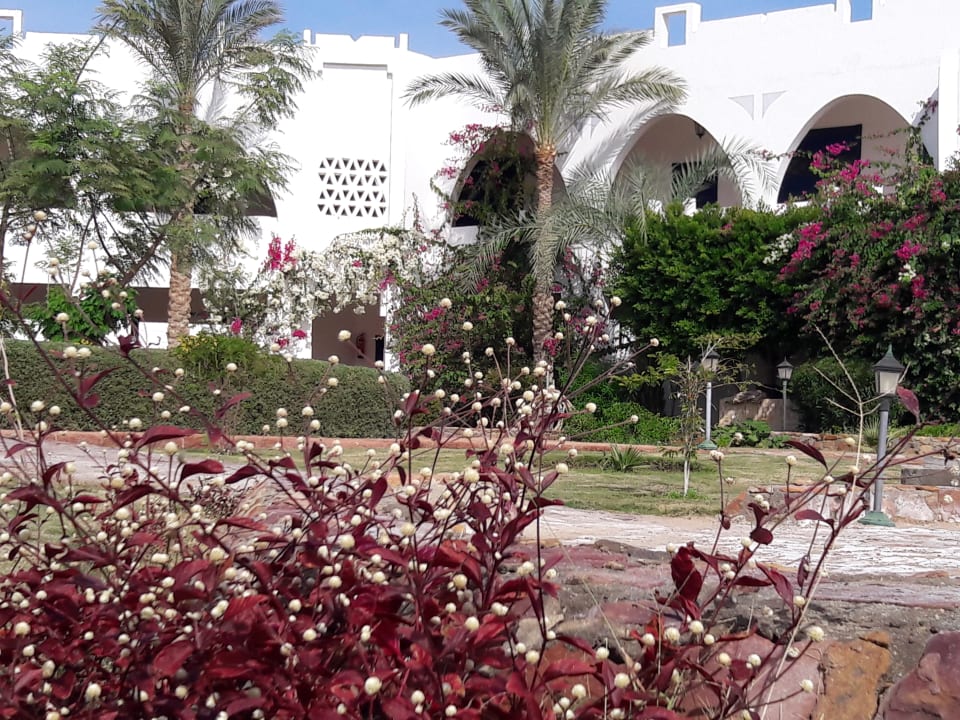 Außenansicht Three Corners Equinox Beach Resort