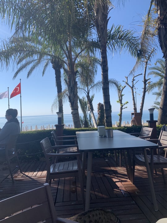 Gastro Side Star Elegance