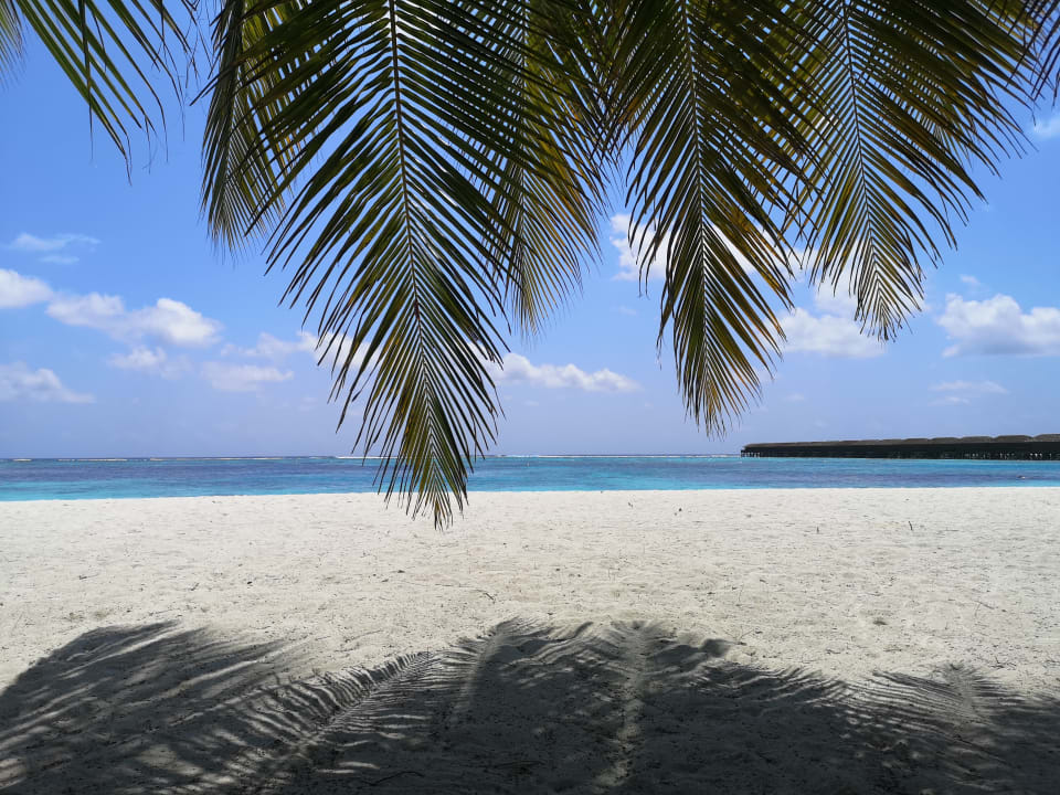 Strand Meeru Maldives Resort Island
