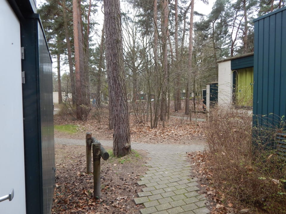 Ausblick vom Haus Center Parcs De Kempervennen