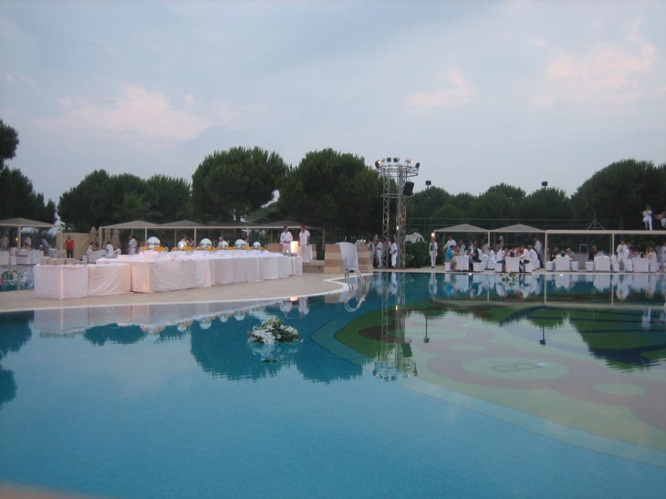 White Party ROBINSON NOBILIS