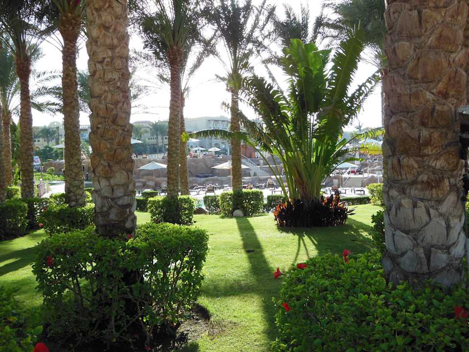 Gartenanlage mit Pool im Hintergrund Rixos Sharm El Sheikh Adults Only 18 +
