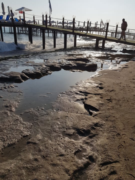 Strand Dizalya Palm Garden