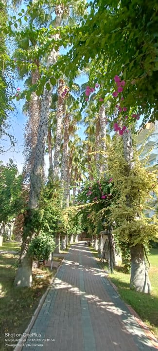 Gartenanlage Hotel Gardenia Beach