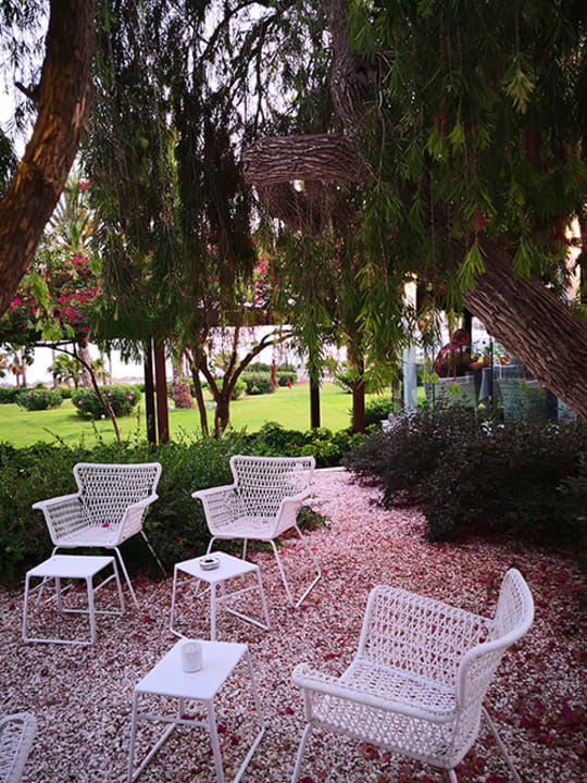 Gartenanlage Hotel Nissi Beach Resort