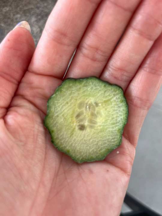 Gastro Blue Sea Island