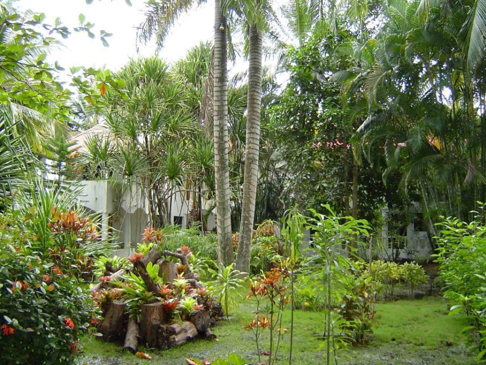 tropischer Garten Casa Phönix Annex Isla Verde