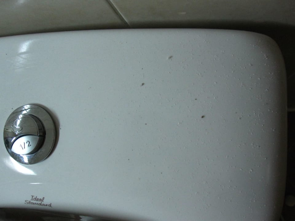 Wann war hier geputzt worden? Shams Alam Beach Resort