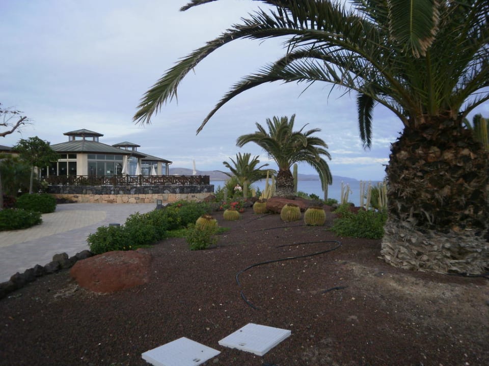 Poolbar R2 Pajara Beach