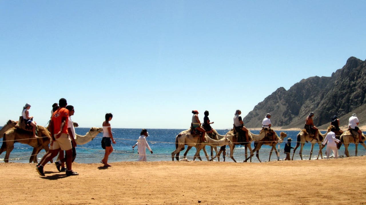 Wielbłądy Happy Life Village