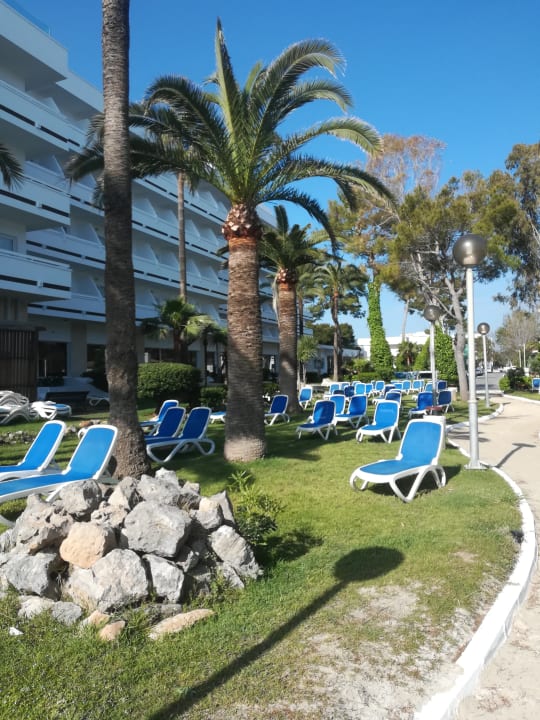 Garten Hotel Condesa