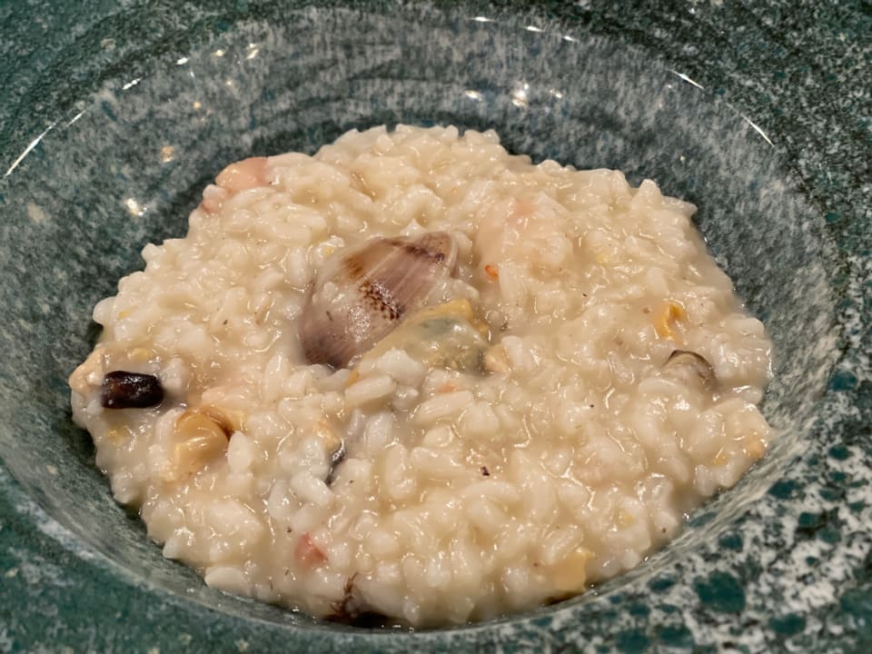 Gastro Acanthus Cennet Barut Collection