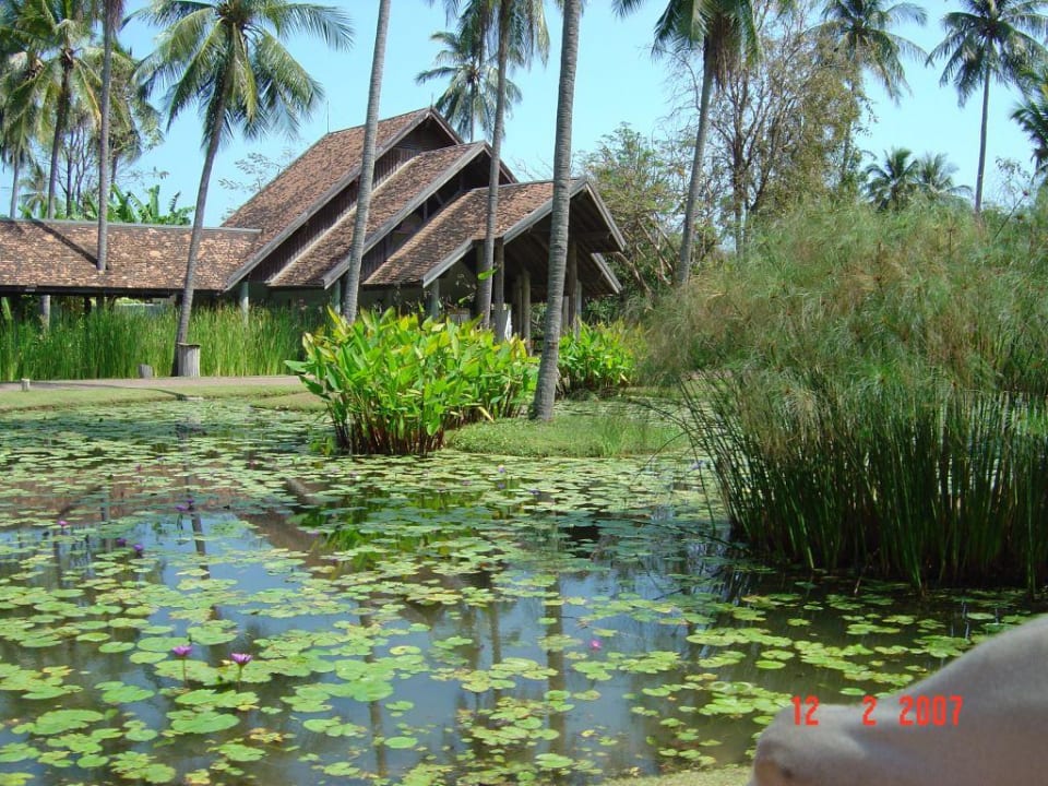 Chill at the pond - Lotusteich  Wyndham Hua Hin Pranburi Resort & Villas