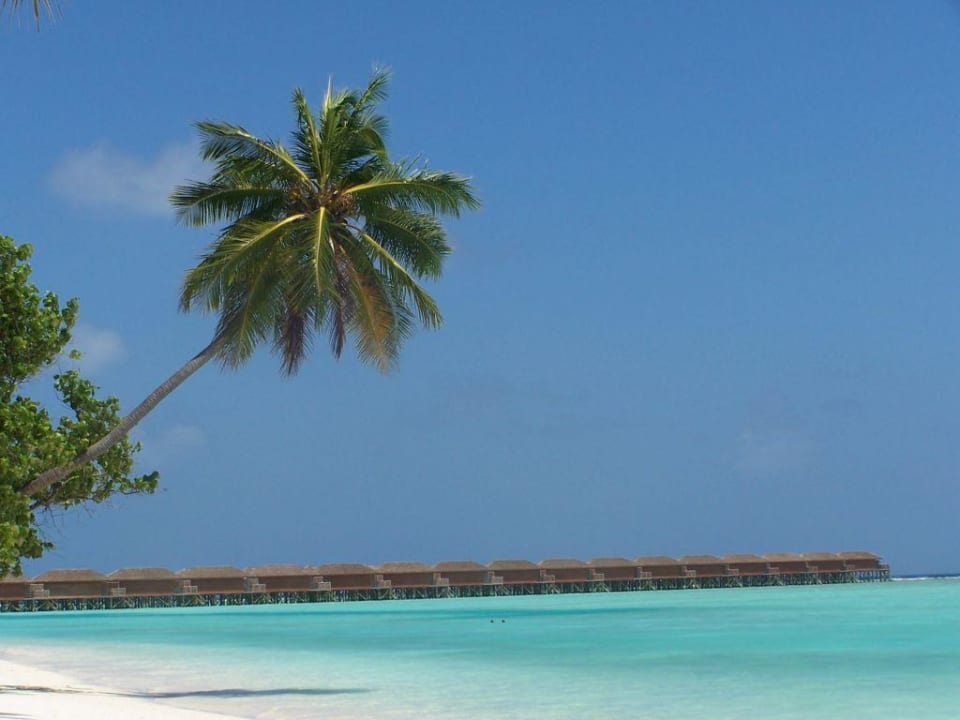 Wasservillen Meeru Maldives Resort Island
