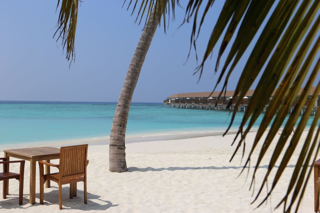 Gastro Reethi Faru Resort