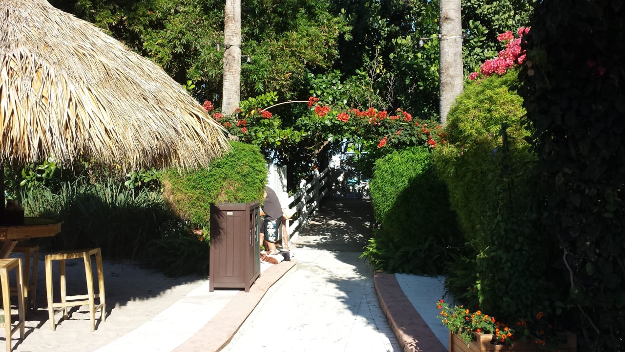 Gartenanlage The Palms Hotel & Spa