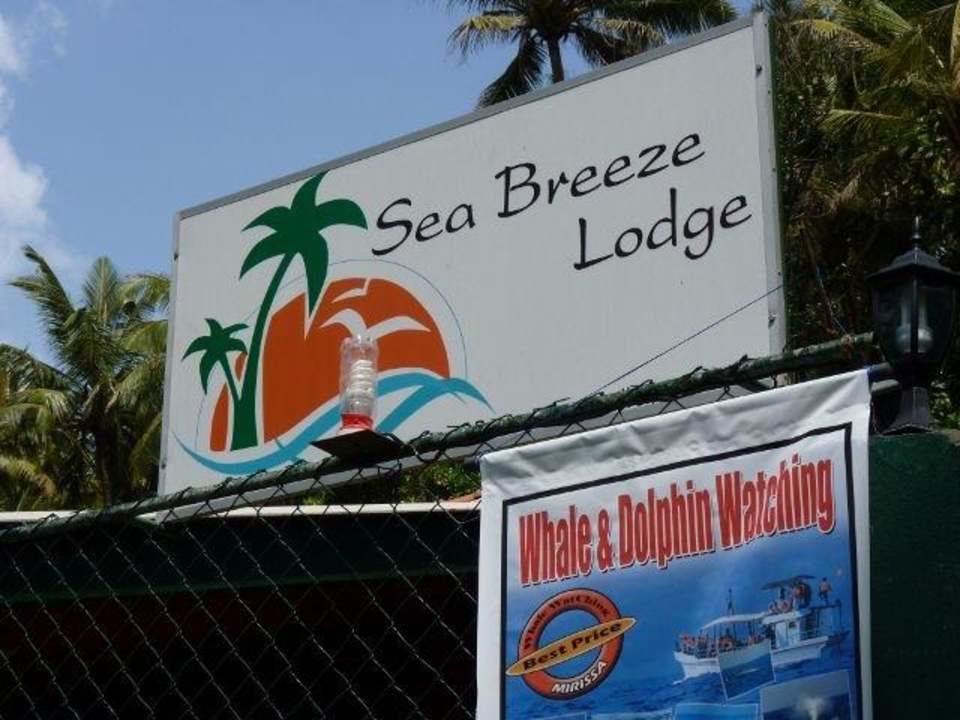 Sea Breeze Lodge Surf Lodge Sea Breeze