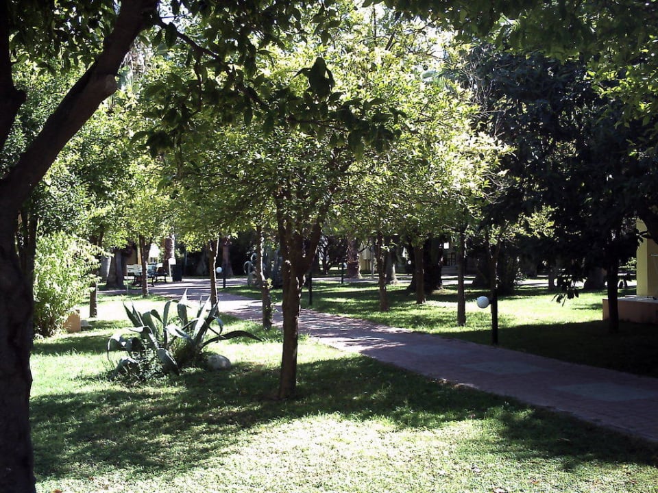 Alles grün VONRESORT Golden Beach