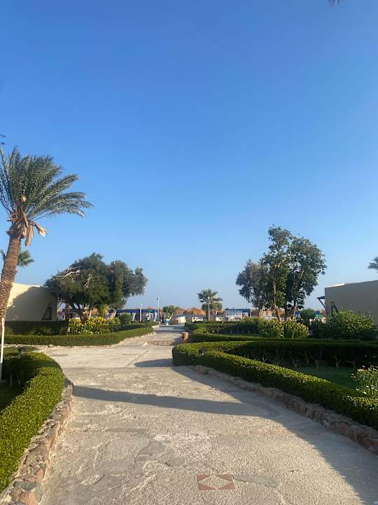 Pool Eagles Paradise Abu Soma