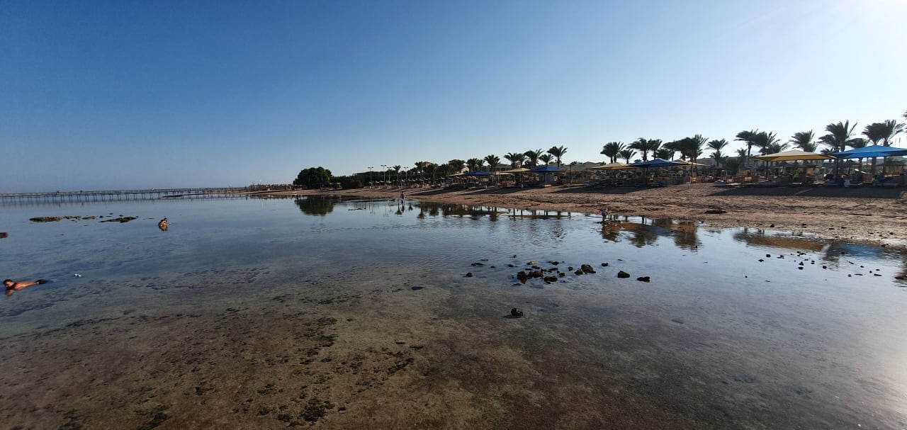 Strand Pickalbatros Royal Moderna Resort-Sharm El Sheikh