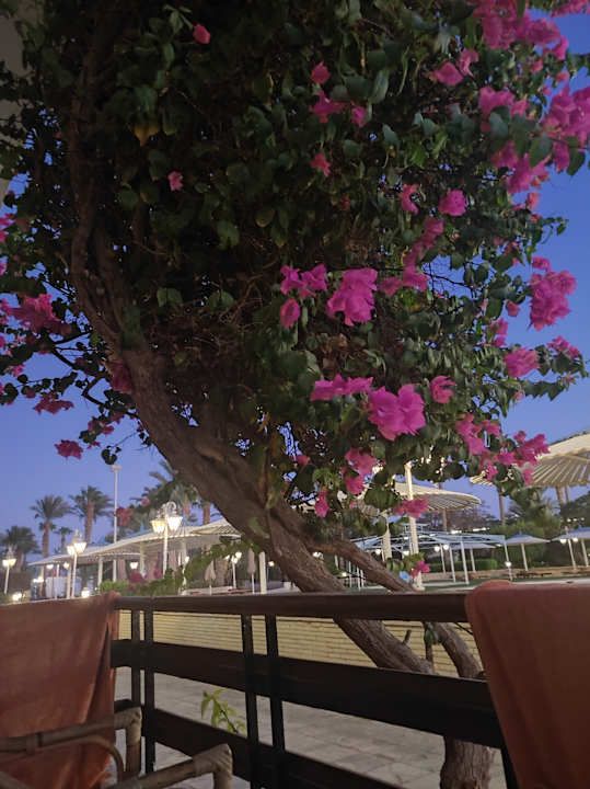 Zimmer The Grand Hotel Hurghada