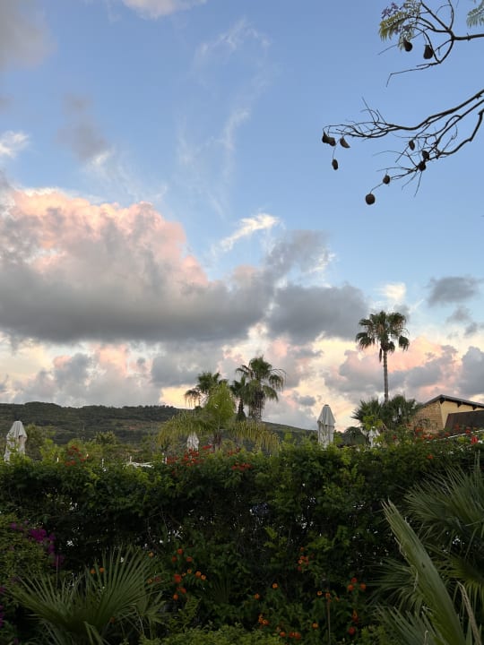 Außenansicht TUI MAGIC LIFE Calabria