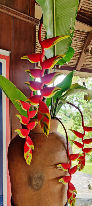 Sonstiges Bagus Jati Health & Wellbeing Retreat