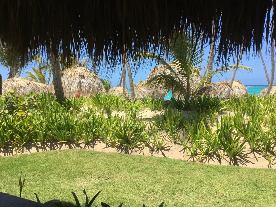 Außenansicht Hotel Grand Palladium Palace Resort, Spa & Casino