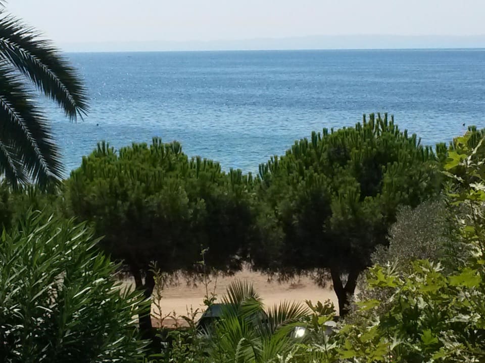 Ausblick vom Balkon  Haus des Gartens / Pension Nikos