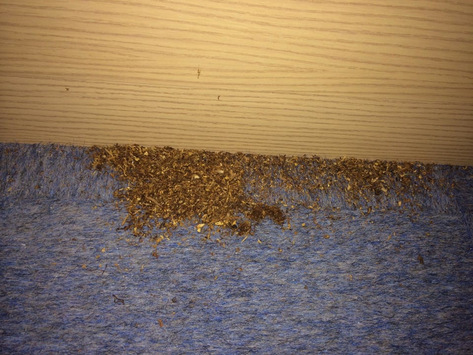 Bettkasten Hotel Bügener