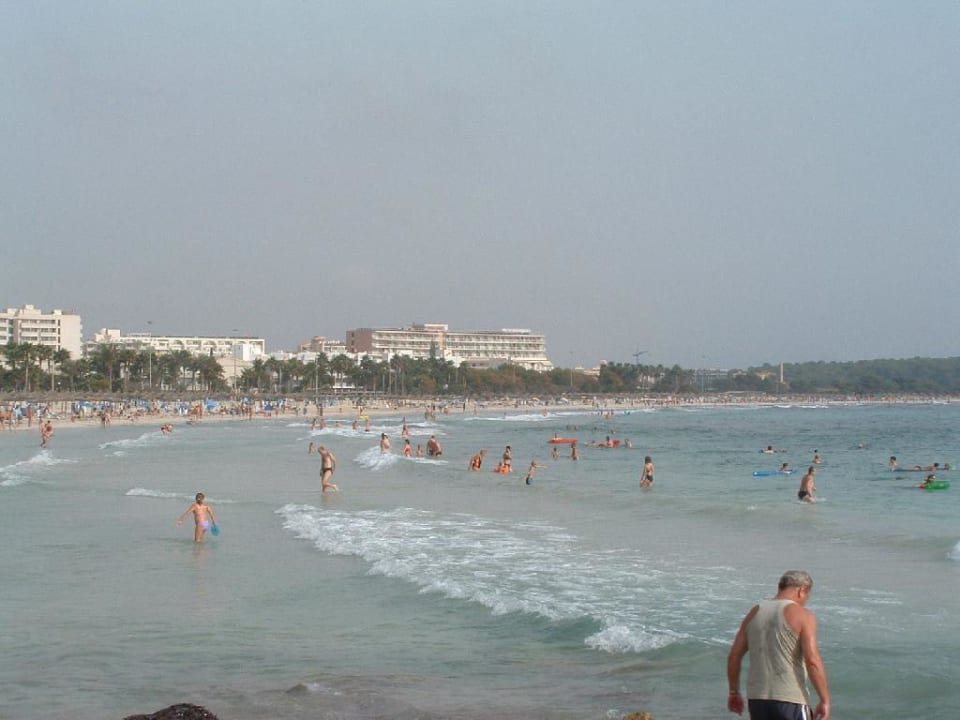 Vista Badia komplette Bucht Sa Coma Protur Vista Badia Aparthotel