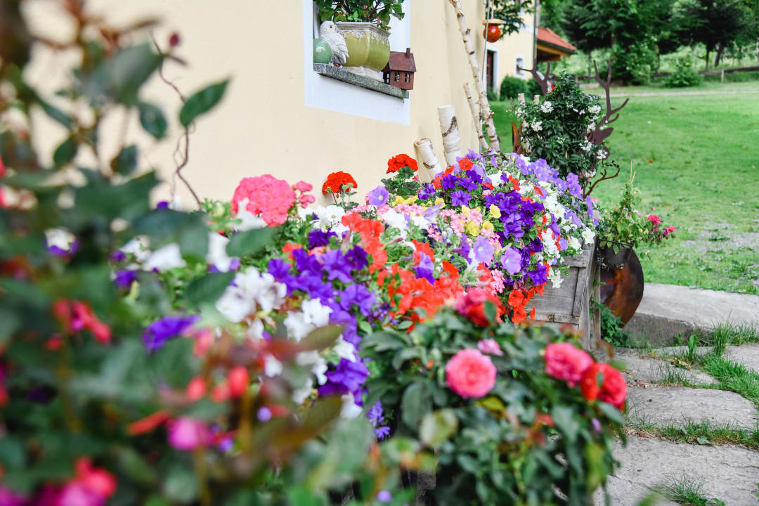 Gartenanlage Ferienwohnungen Gullyhof