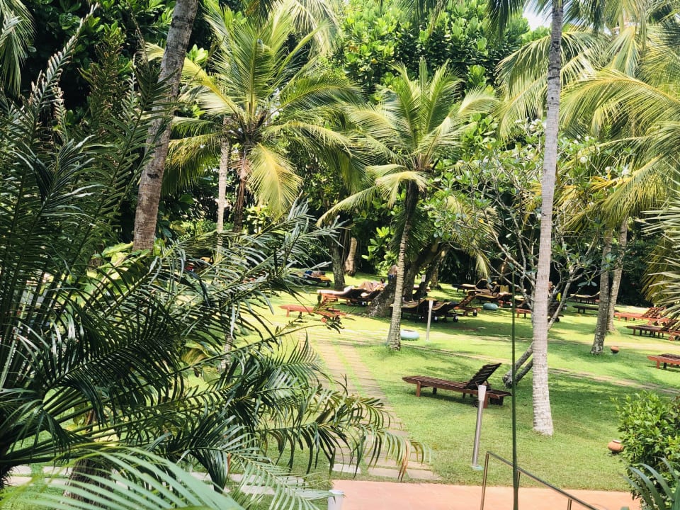 Gartenanlage Hotel Lanka Princess Ayurveda
