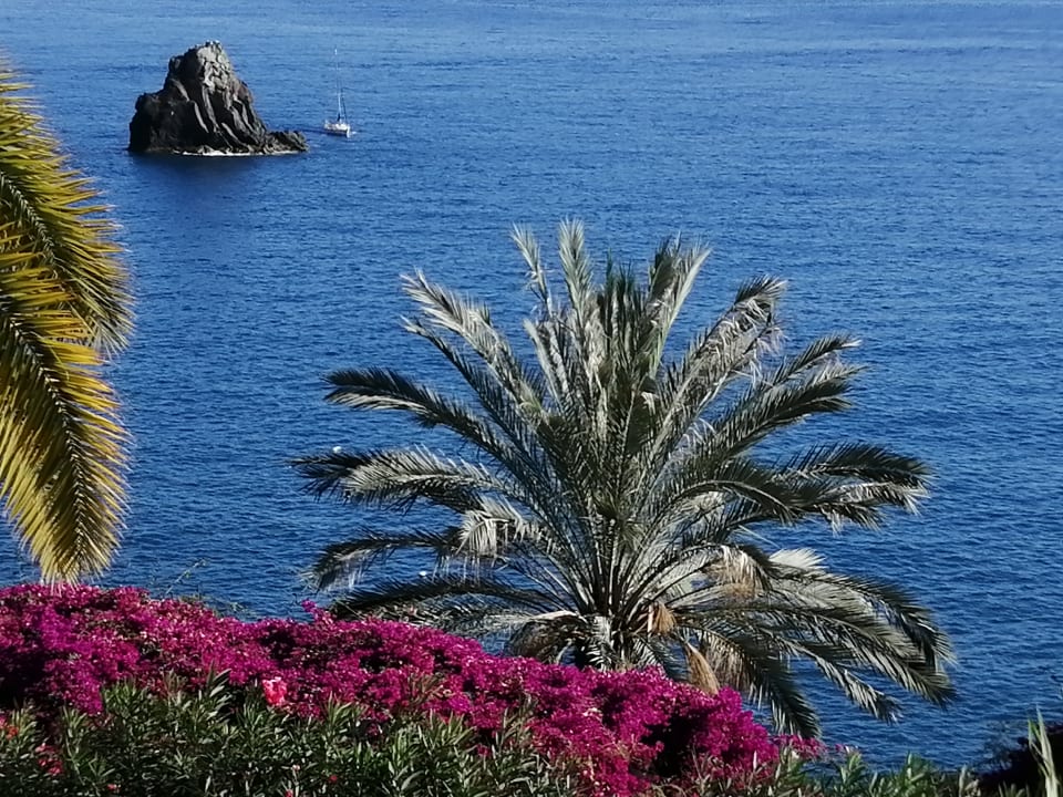 Ausblick Hotel Baia Azul