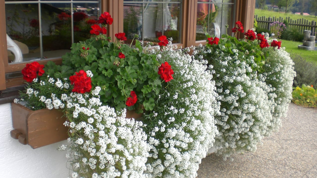 Sonstiges Ferienwohnungen Neumaier F