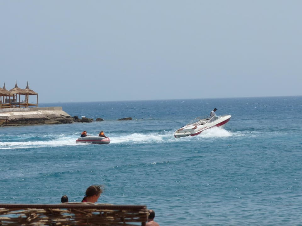 Alles geboten Beach Albatros Resort