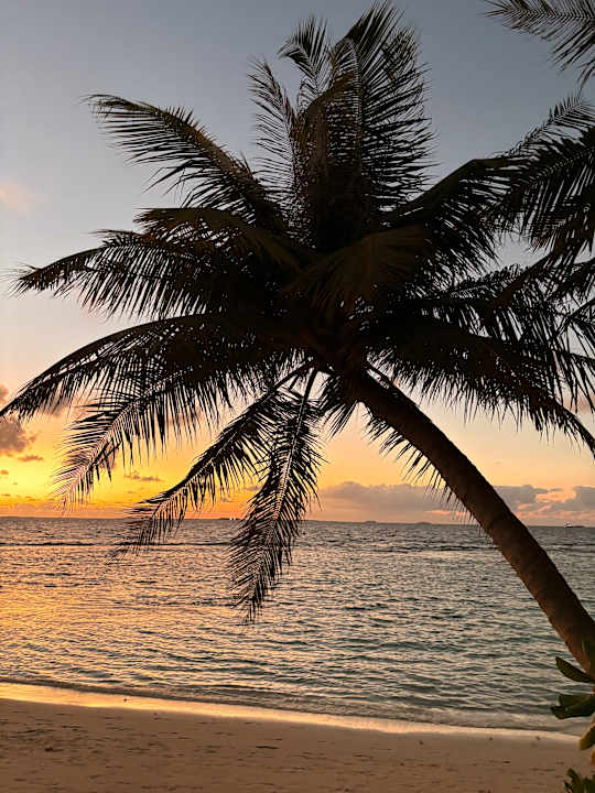 Strand Bandos Maldives