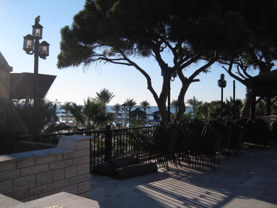 Hauptrestaurant Terrasse Papillon Belvil