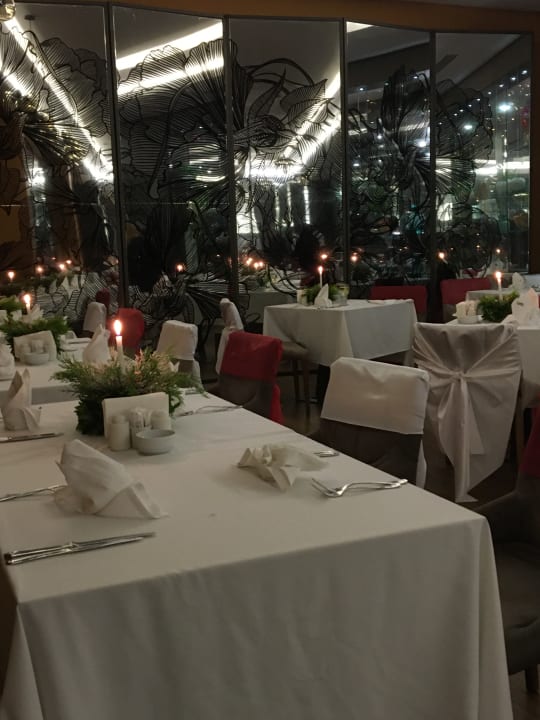 Gastro Side Star Elegance