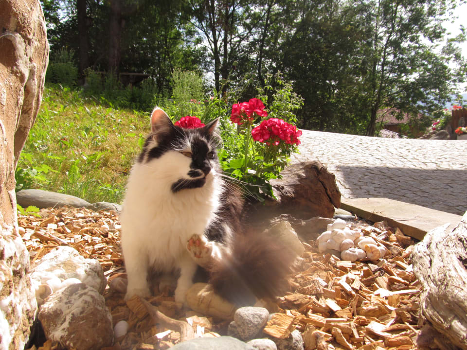 Sonstiges Bauernhof Klampererhof