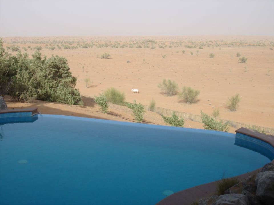 Blick von der Terrasse der Beduinen-Suite Al Maha, A Luxury Collection Desert Resort & Spa