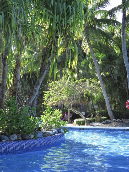 Poolbereich Paradisus Punta Cana Resort (Im Umbau/Renovierung)