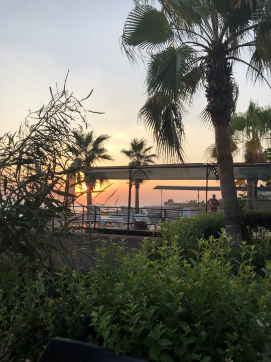 Ausblick Adora Calma Beach Hotel