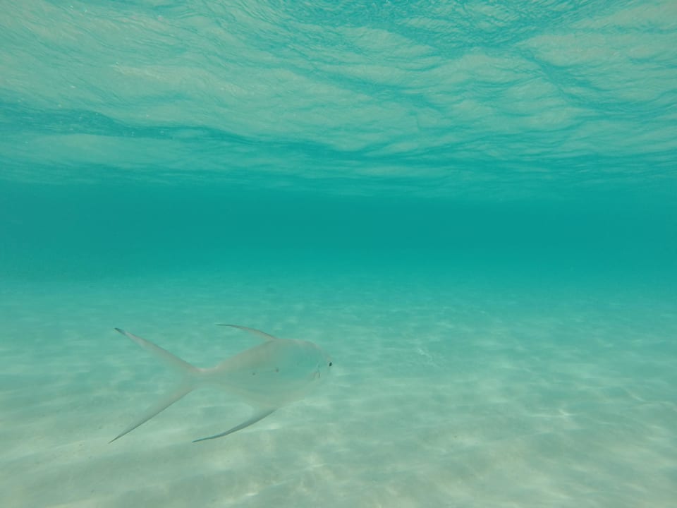 Glasklares Wasser Adaaran Select Meedhupparu Island Resort - Premium All Inclusive